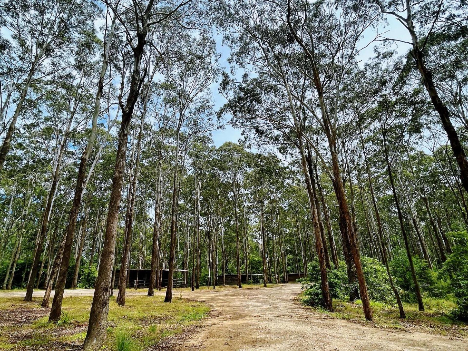 Lakes Entrance Log Cabins Kültér fotó